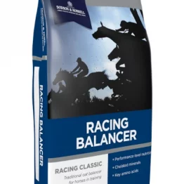 Racing balancer