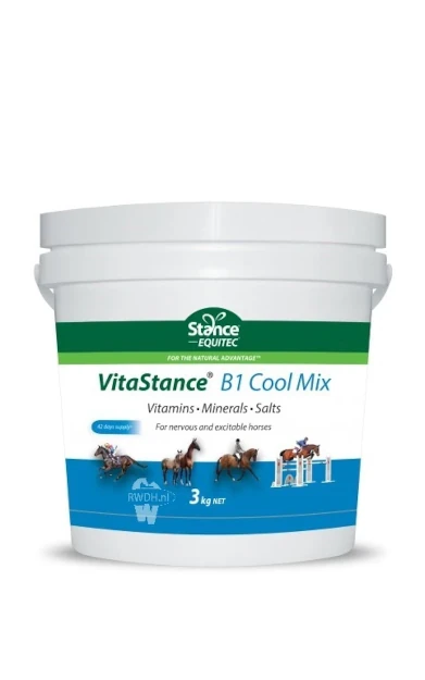VitaStance B1 Cool Mix